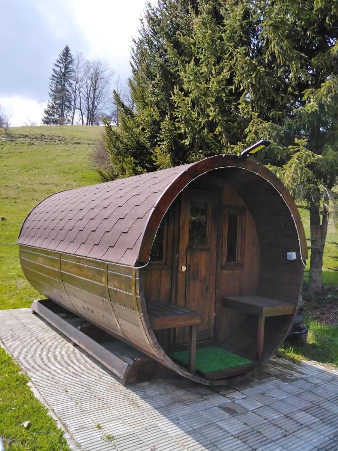 Penzion Iris Krkonose Horní Maršov Exteriör bild