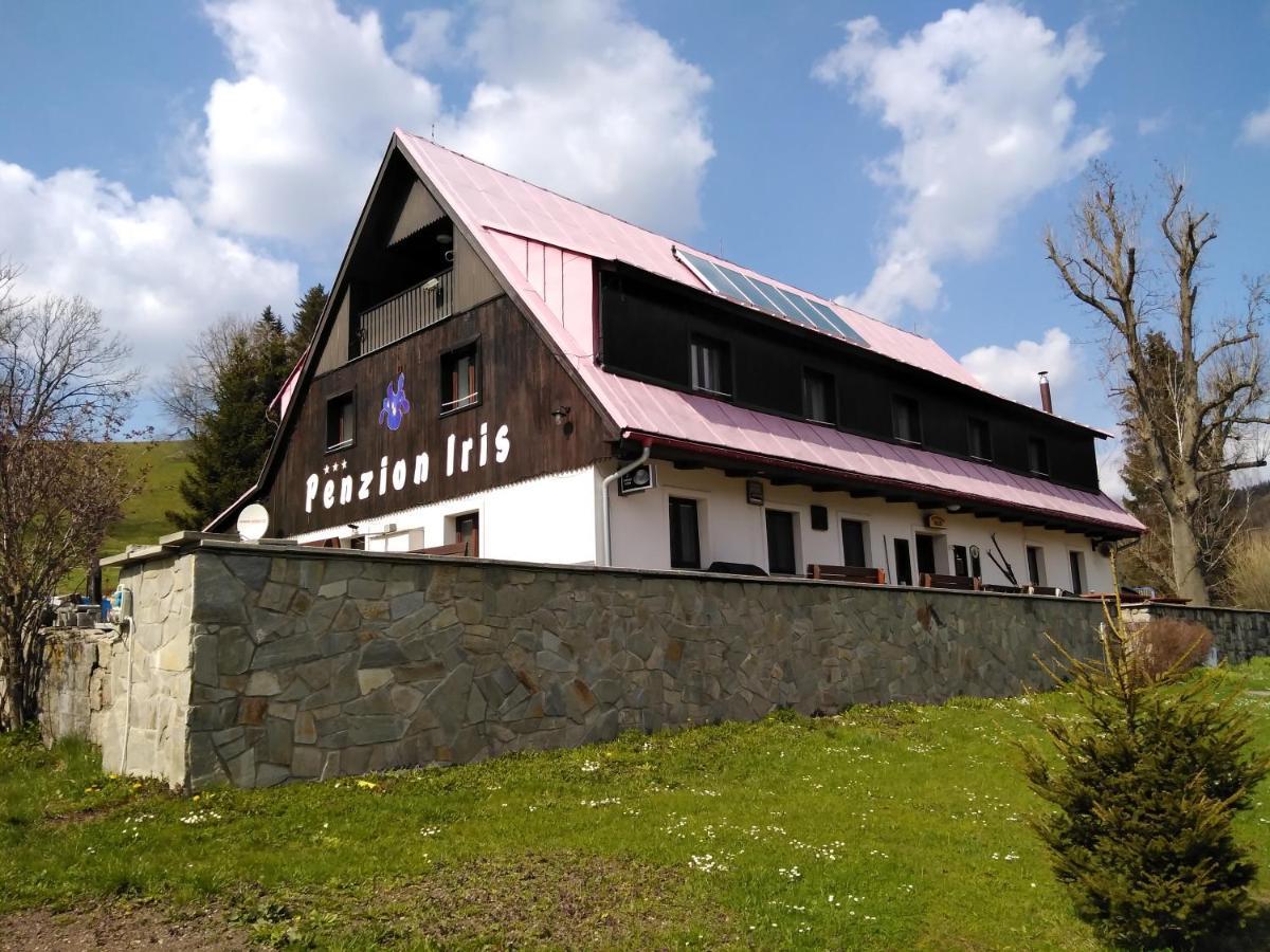Penzion Iris Krkonose Horní Maršov Exteriör bild